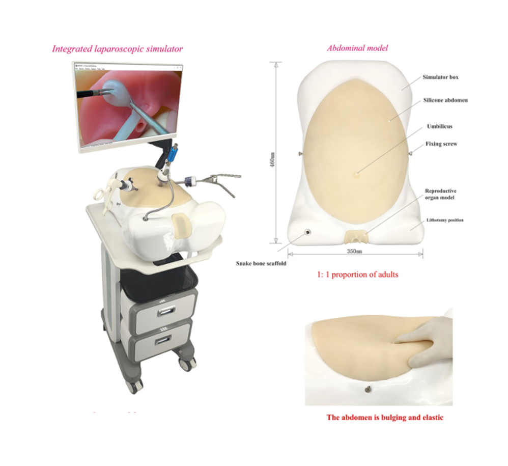 Laparoscopic simulator—HFM-8968