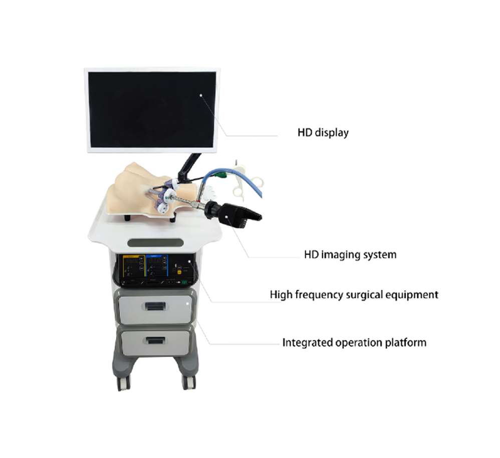 Thyroid and breast Integrated simulator—HFM-8950