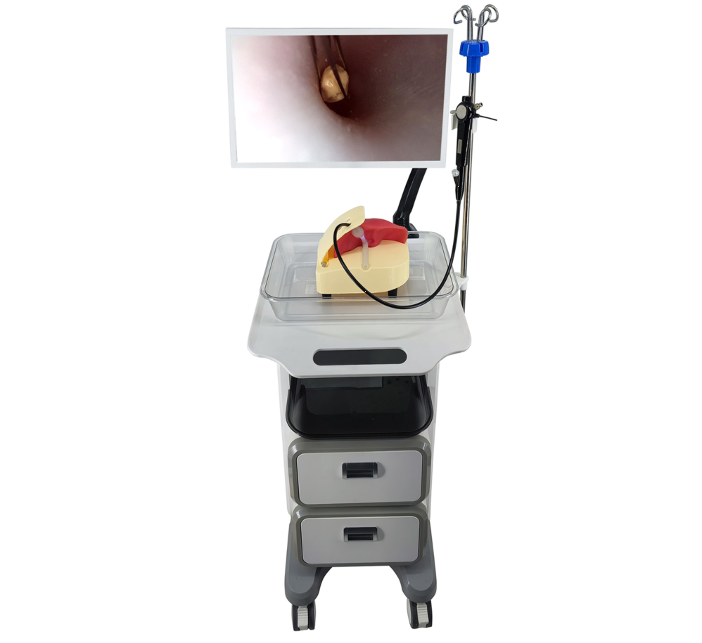 Choledochoscopic Integrated simulator HFM-8530