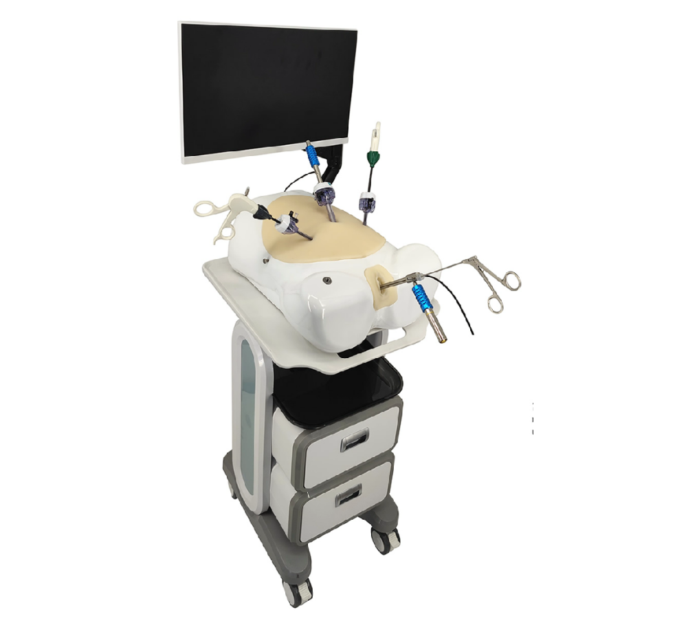 Hysteroscopy & Laparoscopy Simulator HFM-8355