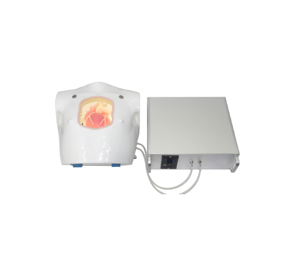 Heart Bypass Surgery Training Simulator HFM-8851