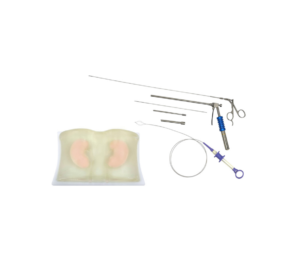 Percutaneous nephroscope training simulator HFM-8708