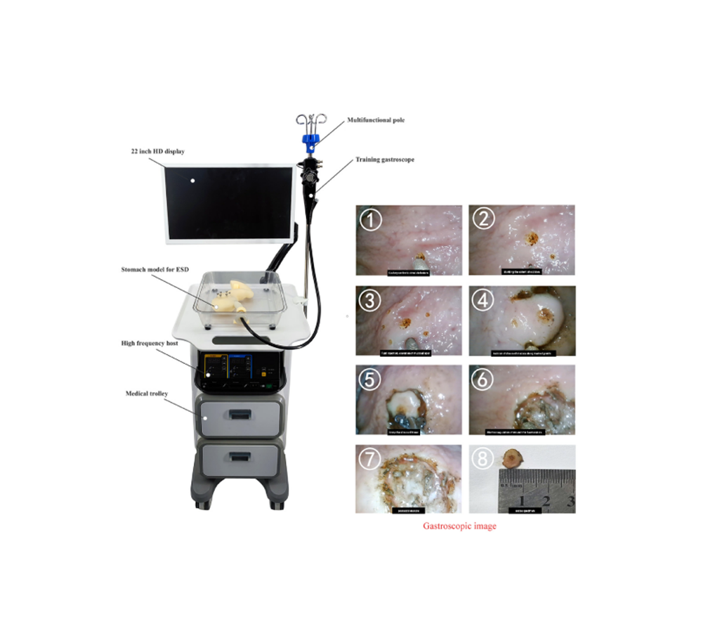 Integrated training simulator(ESD) HFM-8510