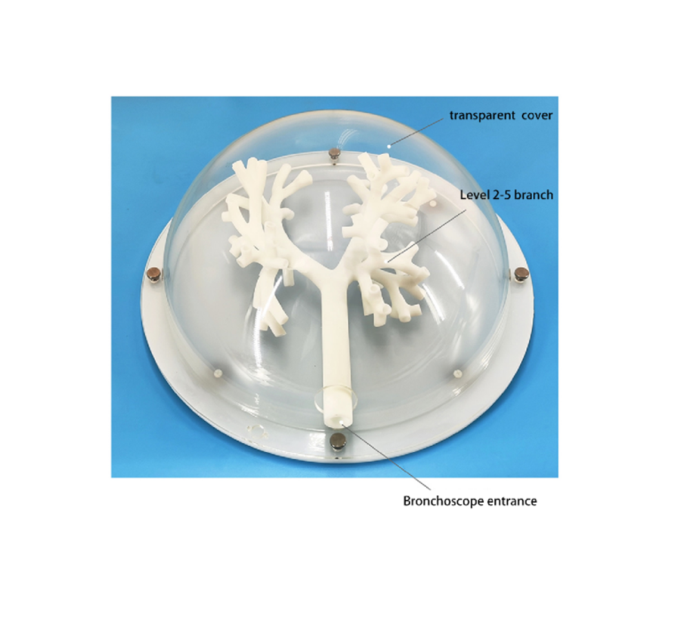 Bronchoscopy training model (rigid model) HFM-8876