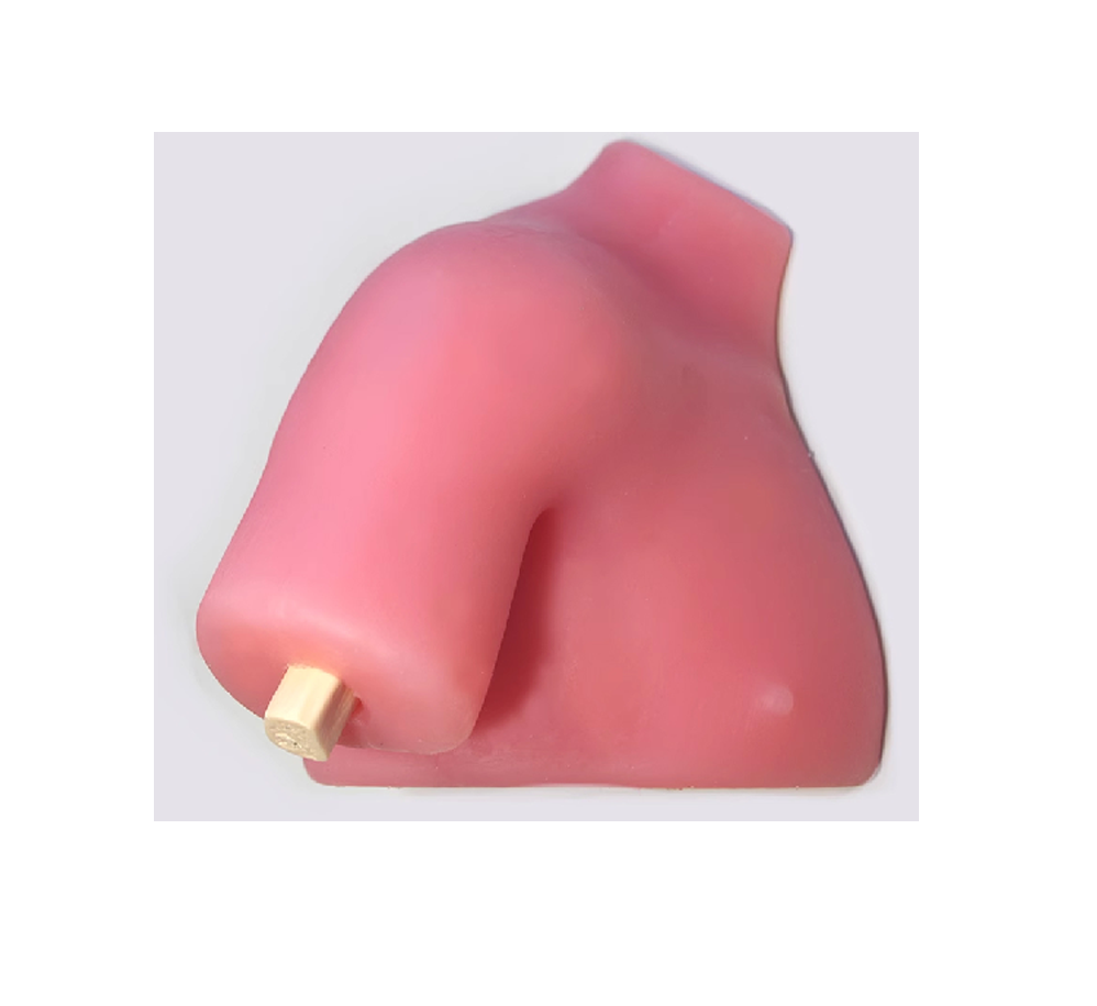 Shoulder Joint Models HFM-8983