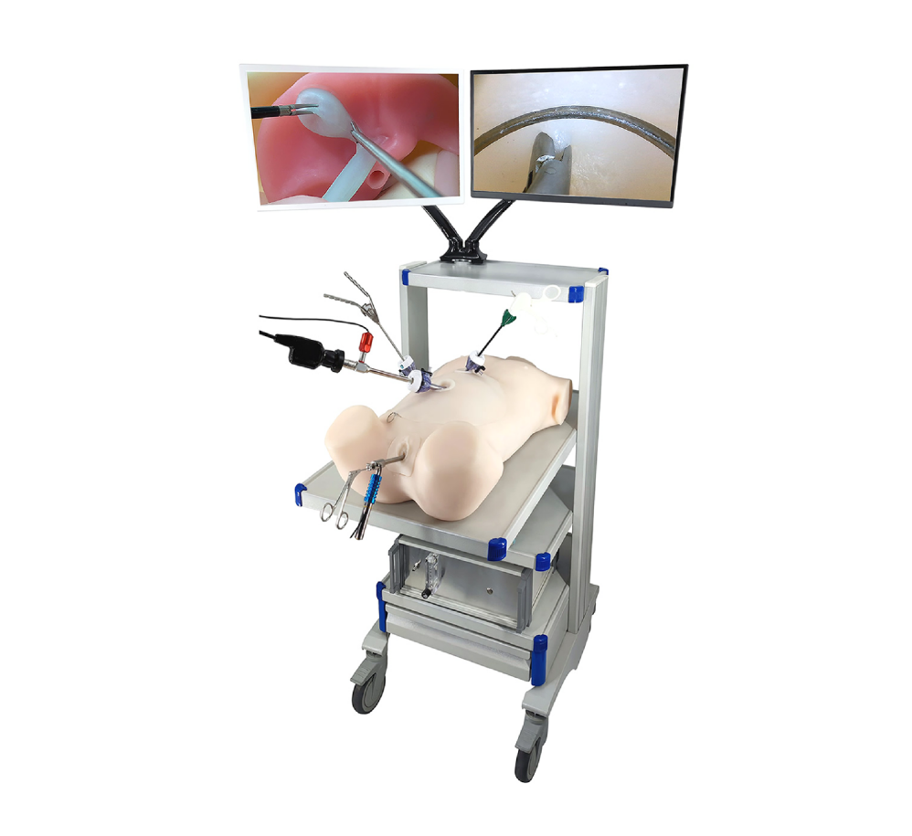 Bionic body for endoscopic training HFM-8910