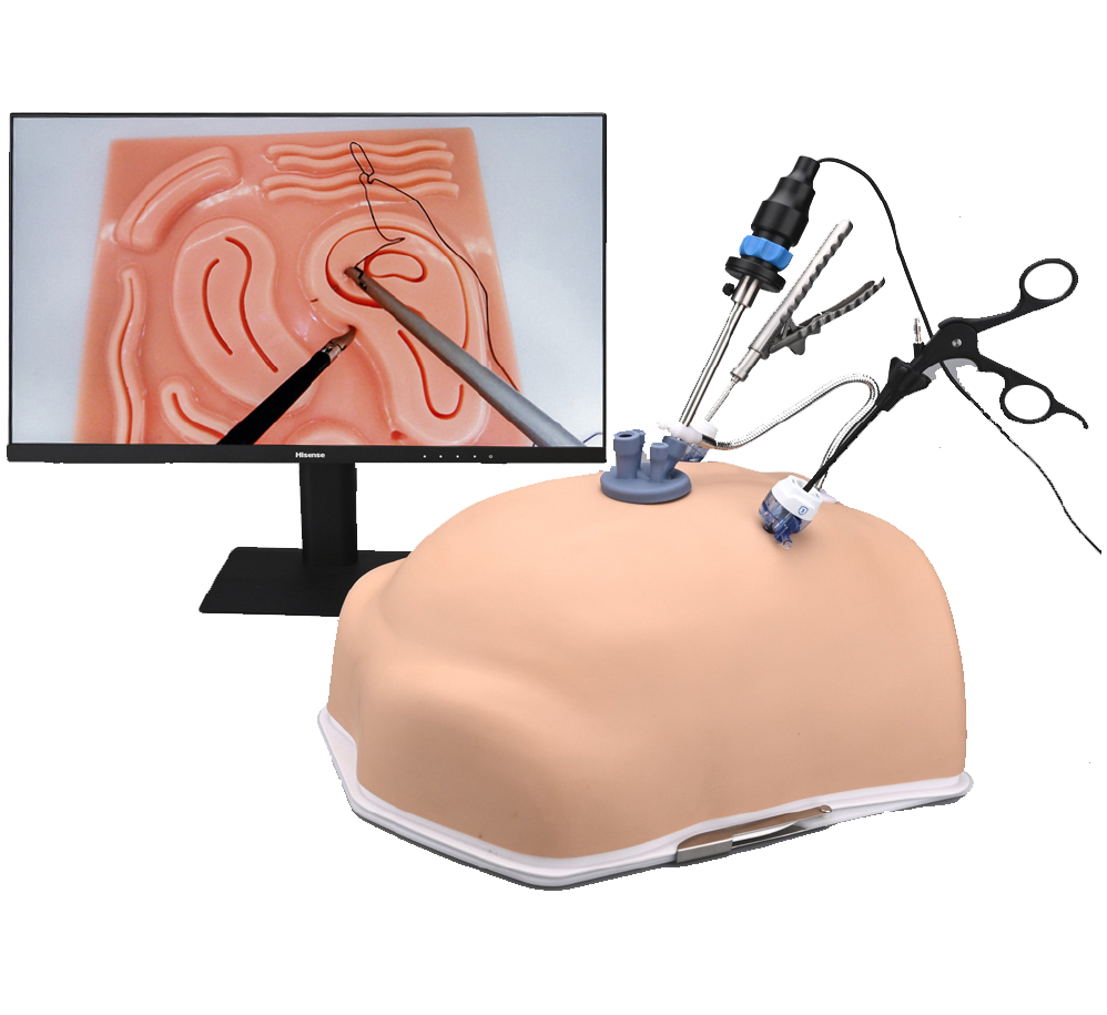 HFM-T1320   Laparoscopic Training Box Belly simulator with skin (No monitor)