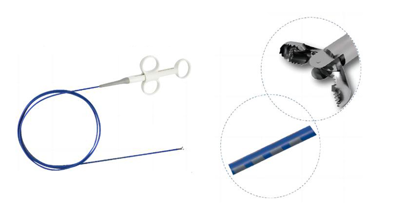 Endoscope Sampling Forceps