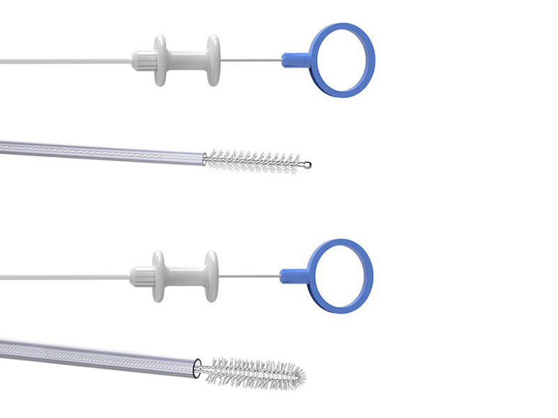 Disposable Cytology Brushes Works