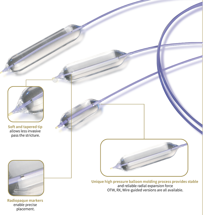 Dilation Balloon Catheter