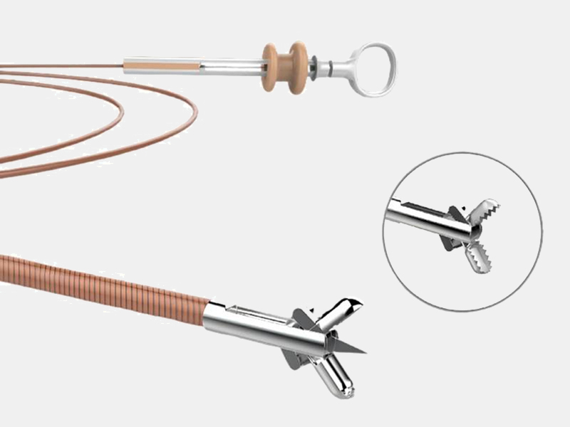 difference between endoscopic sampling forceps and biopsy