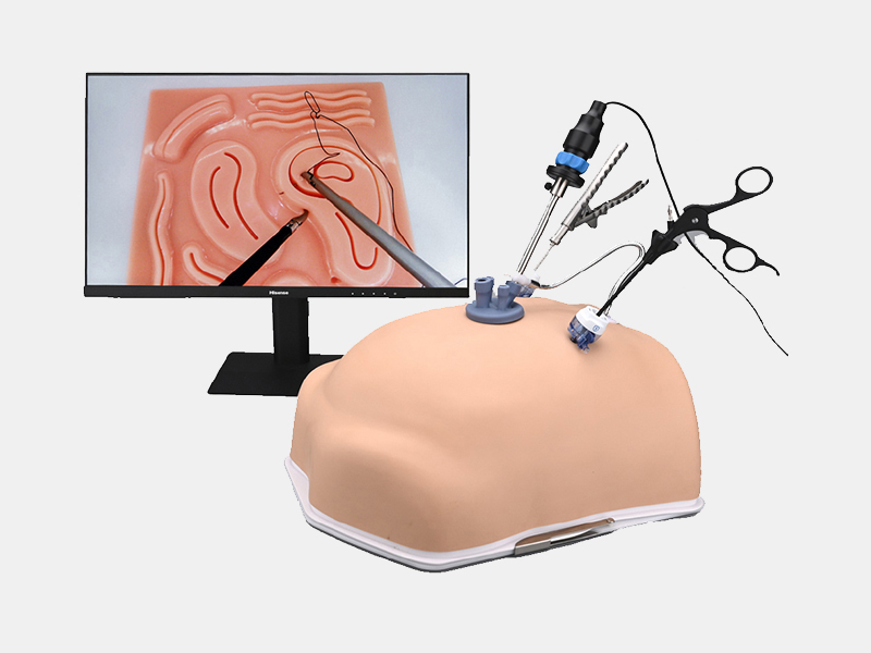 laparoscopic Simulator Trainer, a highly realistic laparoscopic surgery simulation device